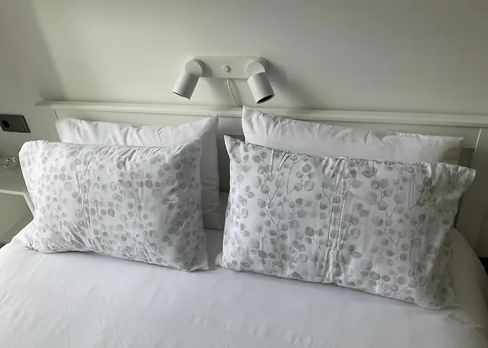 Daire Estudio Centro